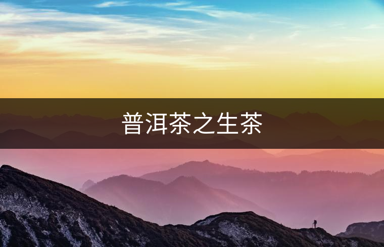 普洱茶之生茶