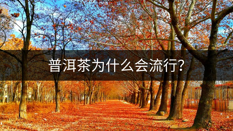 普洱茶為什么會(huì)流行？