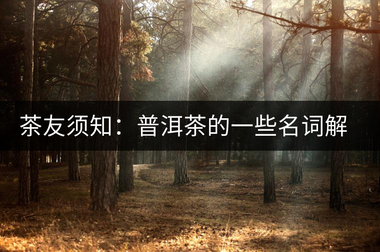 茶友須知：普洱茶的一些名詞解釋