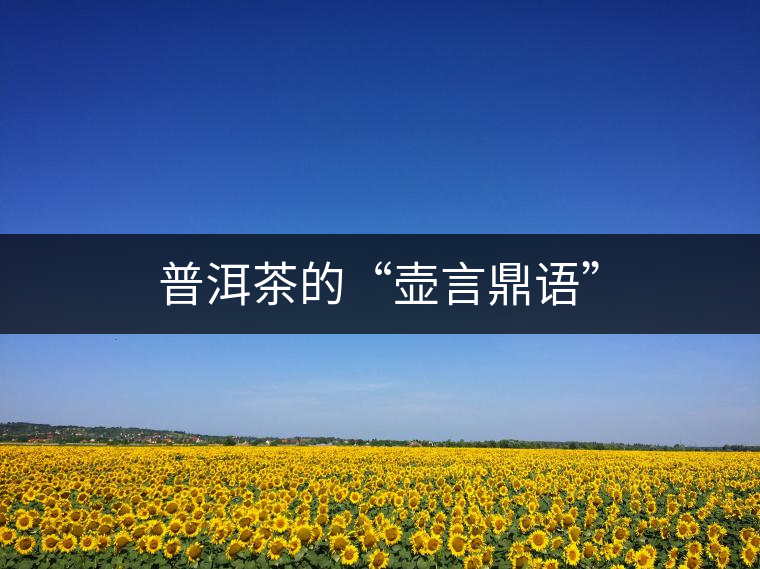 普洱茶的“壺言鼎語(yǔ)”