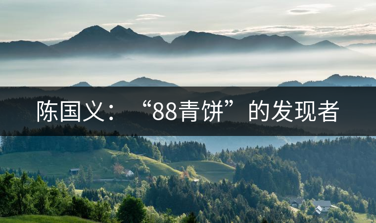陳國(guó)義：“88青餅”的發(fā)現(xiàn)者