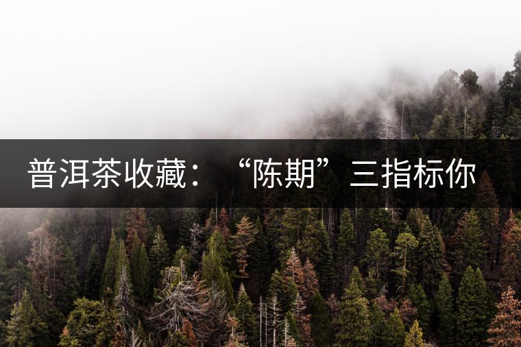 普洱茶收藏：“陳期”三指標(biāo)你知道嗎？