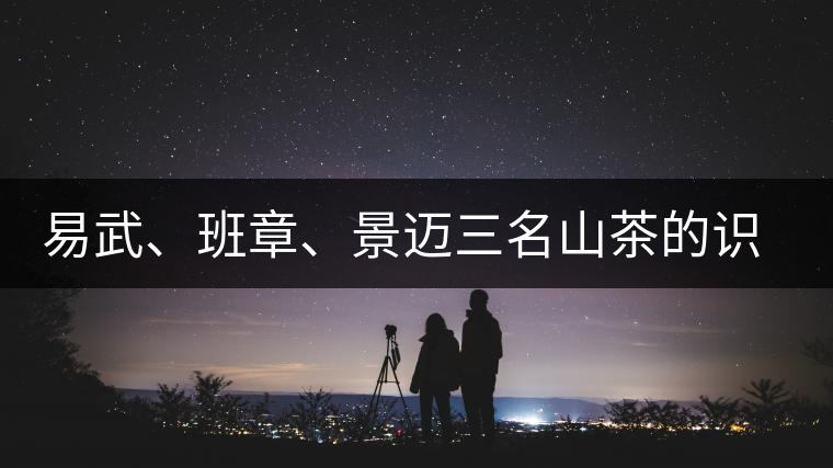 易武、班章、景邁三名山茶的識(shí)別