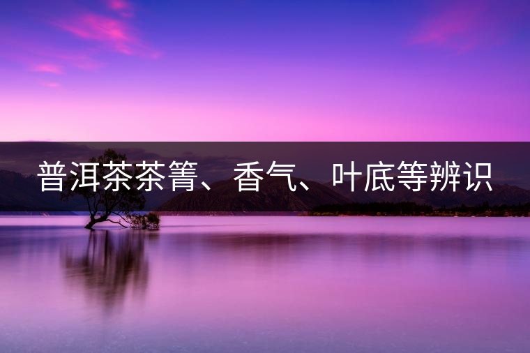 普洱茶茶箐、香氣、葉底等辨識