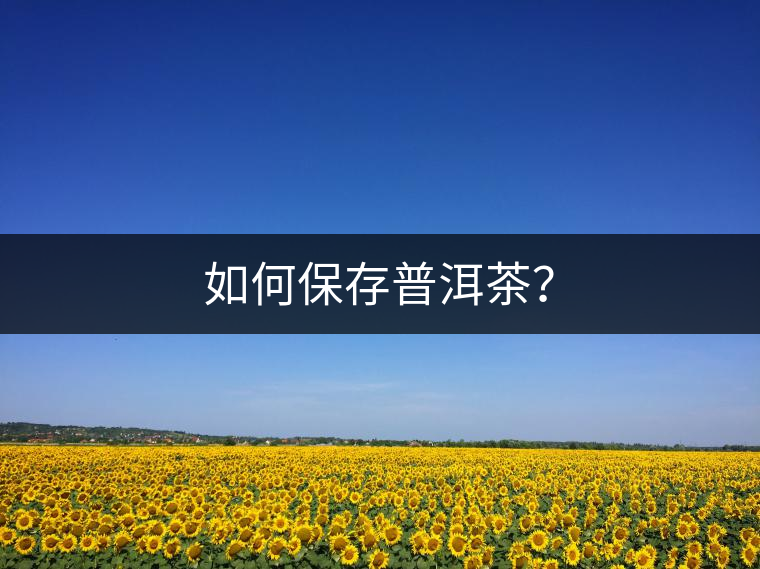 如何保存普洱茶？