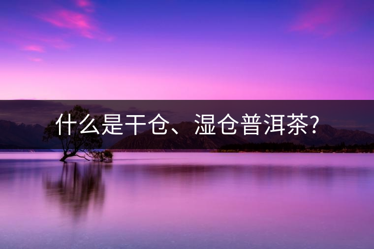 什么是干倉(cāng)、濕倉(cāng)普洱茶?