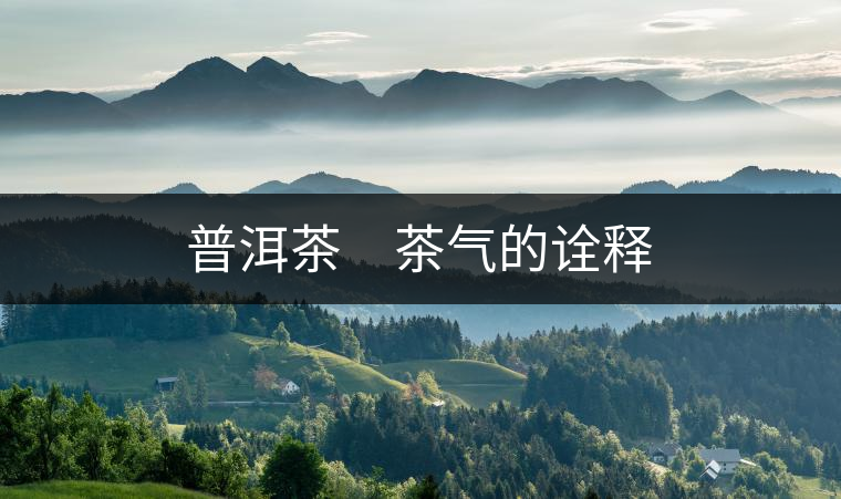 普洱茶 茶氣的詮釋 普洱茶 茶氣的詮釋