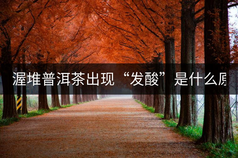 渥堆普洱茶出現(xiàn)“發(fā)酸”是什么原因？