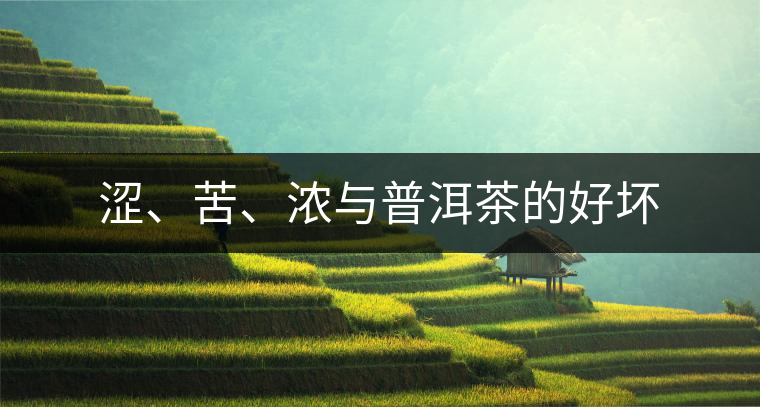 澀、苦、濃與普洱茶的好壞