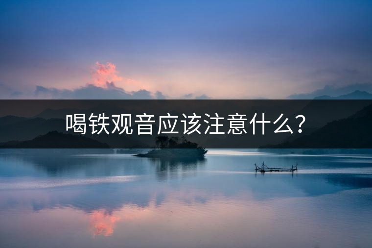 喝鐵觀音應該注意什么？