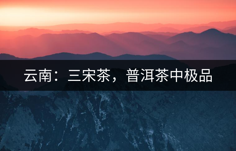 云南：三宋茶，普洱茶中極品