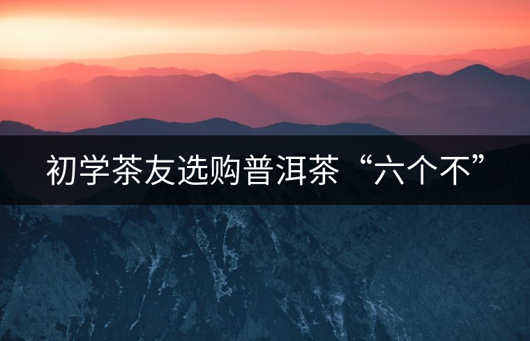 初學(xué)茶友選購普洱茶“六個不”