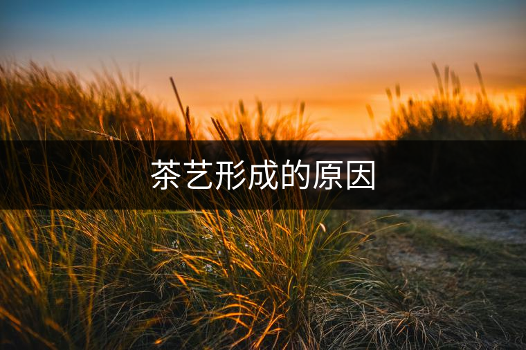 茶藝形成的原因 茶藝形成的原因