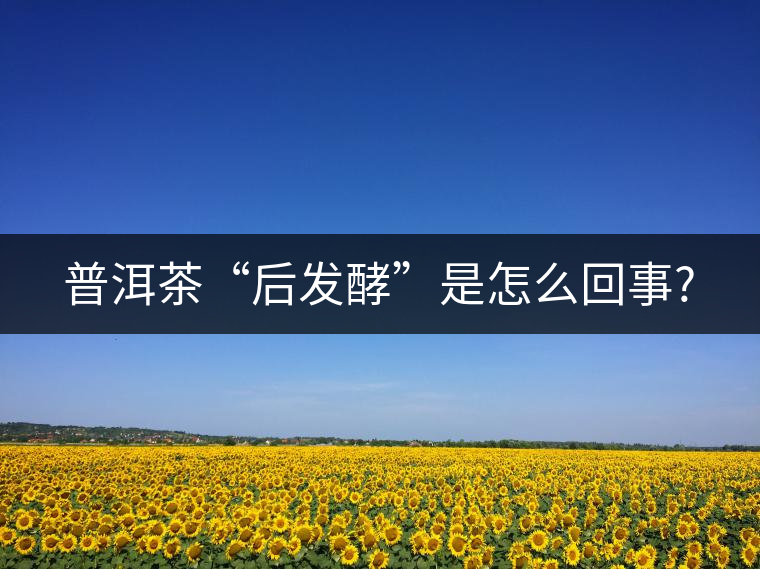 普洱茶“后發(fā)酵”是怎么回事? 普洱茶“后發(fā)酵”是怎么回事?