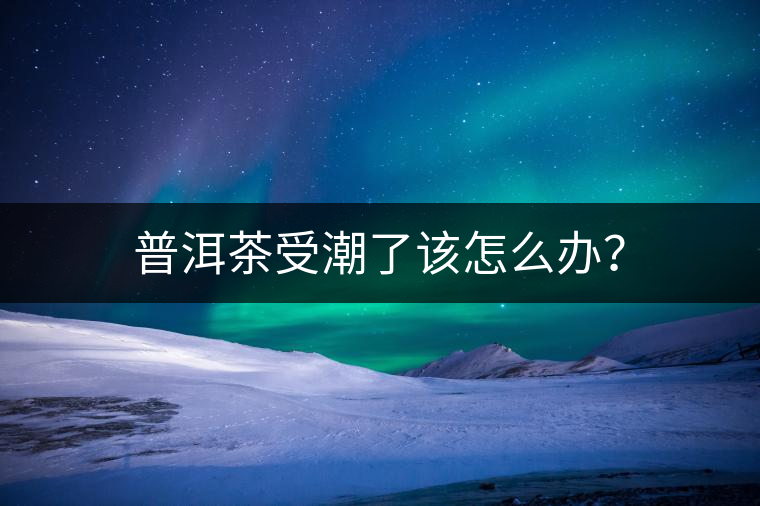 普洱茶受潮了該怎么辦？