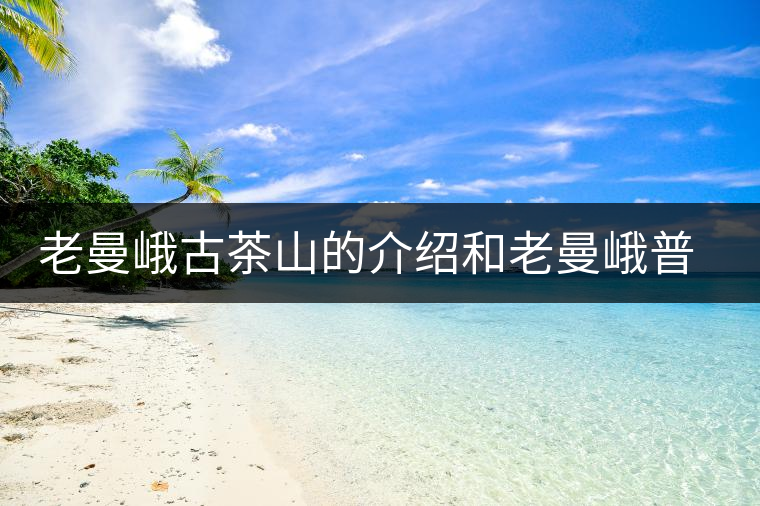 老曼峨古茶山的介紹和老曼峨普洱茶的口感特點(diǎn)