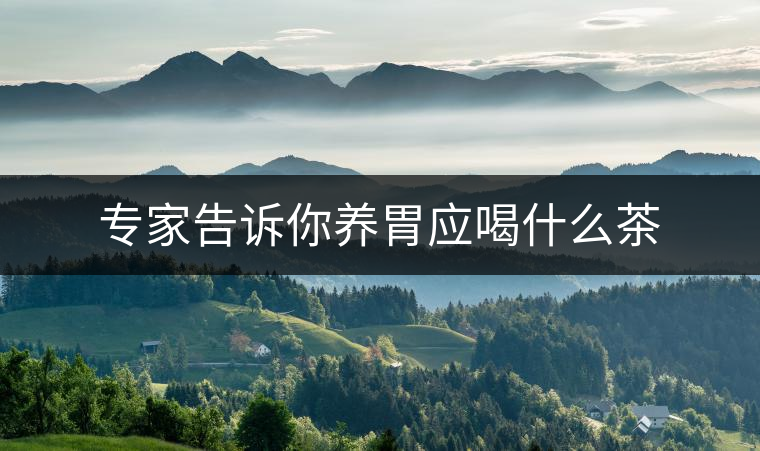 專(zhuān)家告訴你養(yǎng)胃應(yīng)喝什么茶