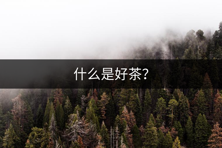 什么是好茶？