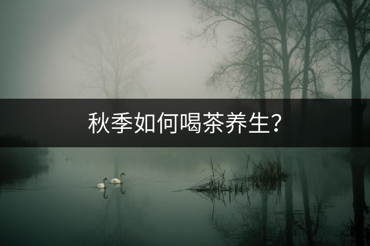秋季如何喝茶養(yǎng)生？