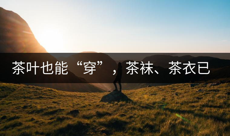 茶葉也能“穿”，茶襪、茶衣已進(jìn)入研發(fā)階段