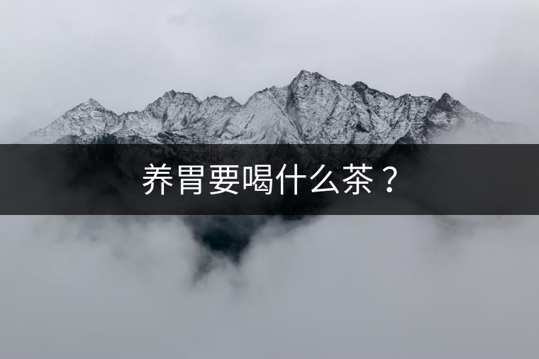 養(yǎng)胃要喝什么茶 ？