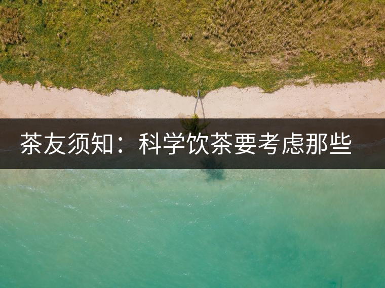 茶友須知：科學飲茶要考慮那些因素？