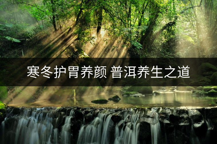 寒冬護(hù)胃養(yǎng)顏 普洱養(yǎng)生之道 寒冬護(hù)胃養(yǎng)顏 普洱養(yǎng)生之道
