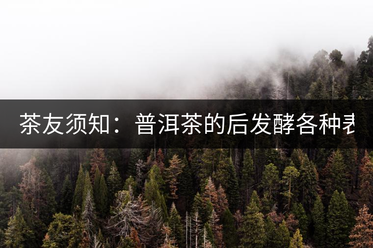 茶友須知：普洱茶的后發(fā)酵各種表現(xiàn) 喝普洱有益健康的奧妙所在！