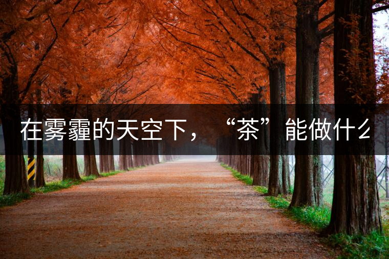 在霧霾的天空下，“茶”能做什么？