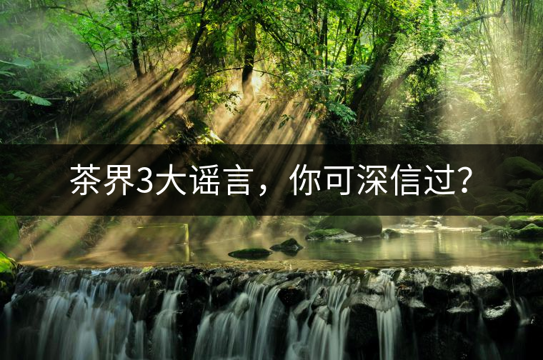 茶界3大謠言，你可深信過？