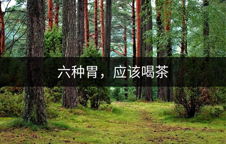 六種胃，應該喝茶