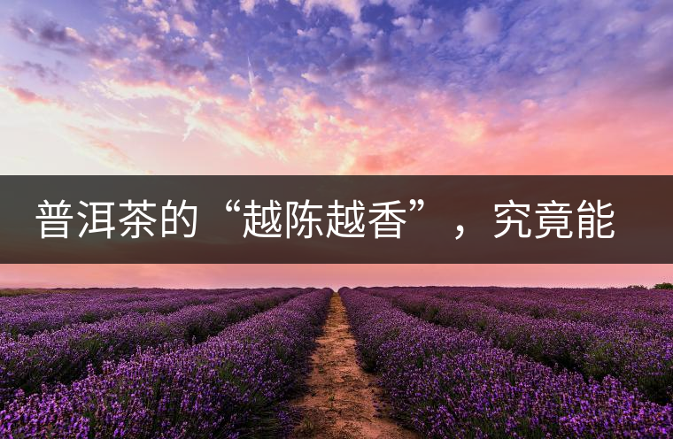 普洱茶的“越陳越香”，究竟能“陳”多久