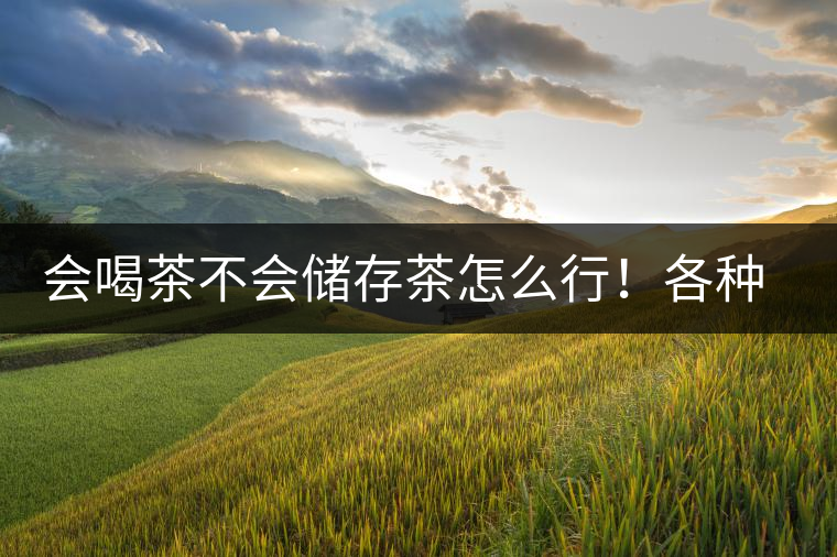 會(huì)喝茶不會(huì)儲(chǔ)存茶怎么行！各種存茶方法與技巧，把茶香留住
