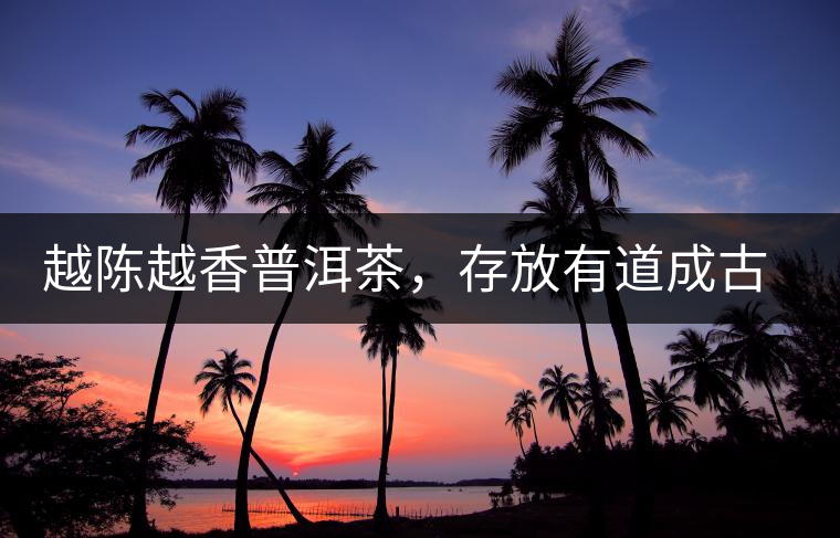 越陳越香普洱茶，存放有道成古董