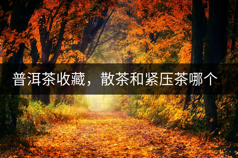 普洱茶收藏，散茶和緊壓茶哪個(gè)更好？