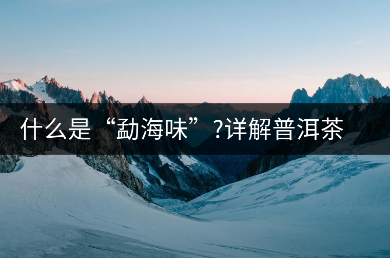 什么是“勐海味”?詳解普洱茶“勐海味”的成因