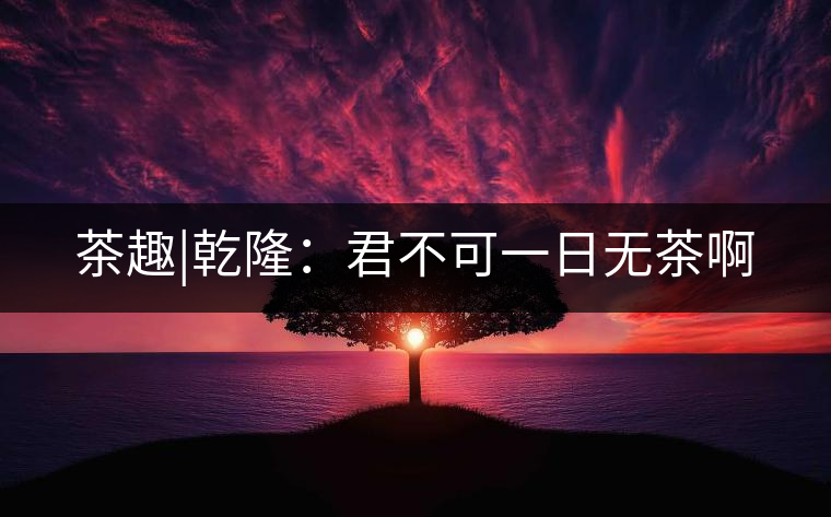 茶趣|乾?。壕豢梢蝗諢o茶啊