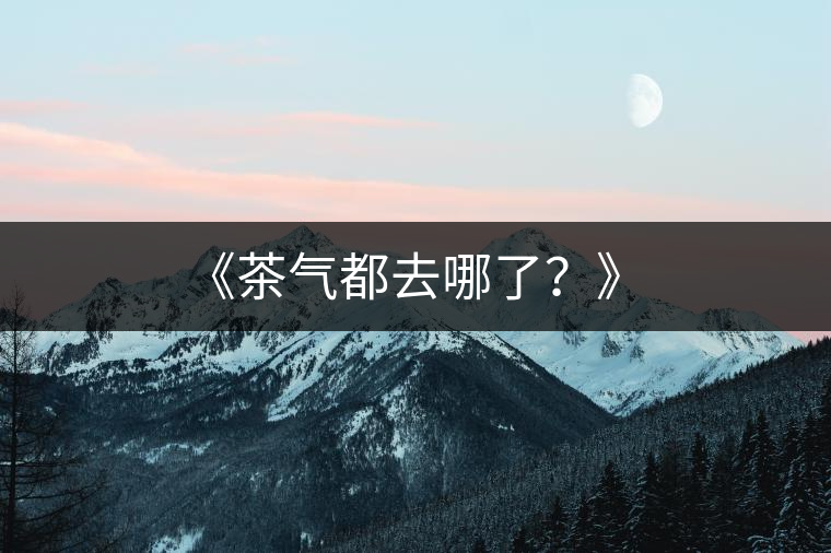 《茶氣都去哪了？》