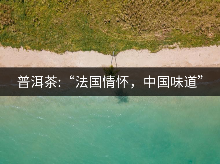 普洱茶:“法國情懷，中國味道”