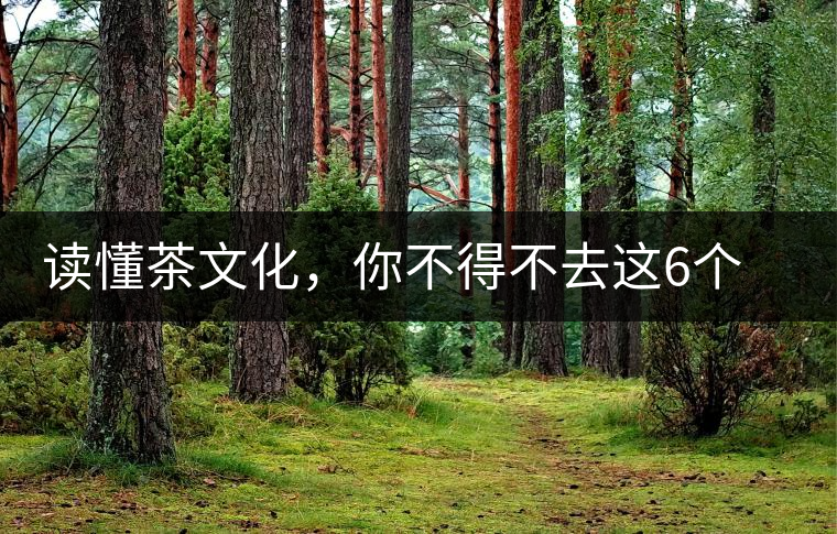 讀懂茶文化，你不得不去這6個城市