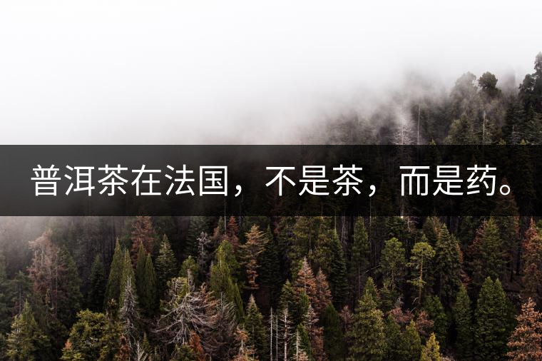 普洱茶在法國，不是茶，而是藥。