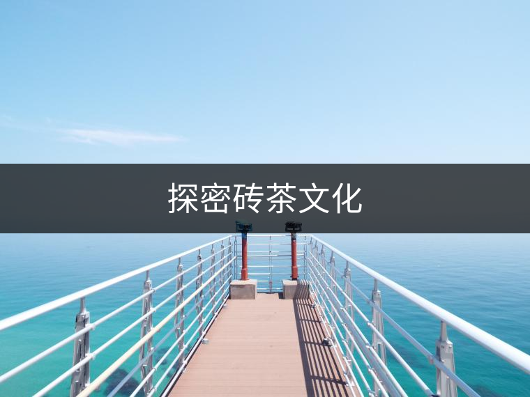 探密磚茶文化