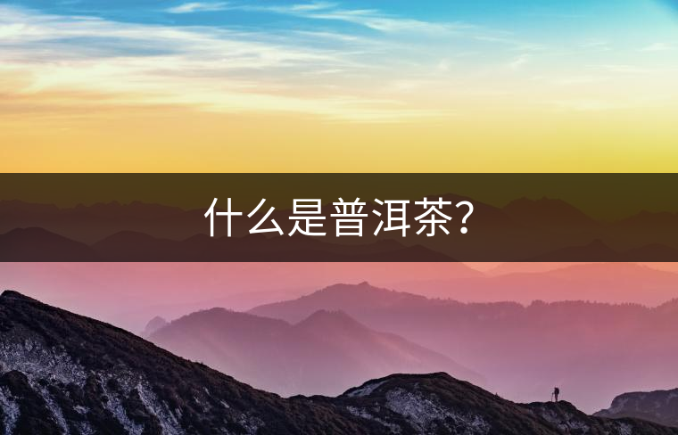 什么是普洱茶？