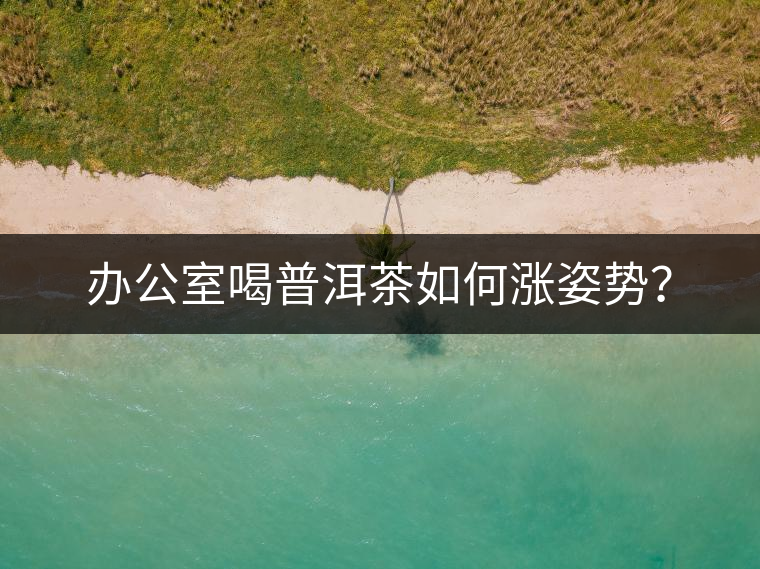 辦公室喝普洱茶如何漲姿勢(shì)？