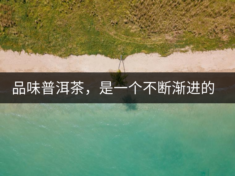 品味普洱茶，是一個(gè)不斷漸進(jìn)的過(guò)程