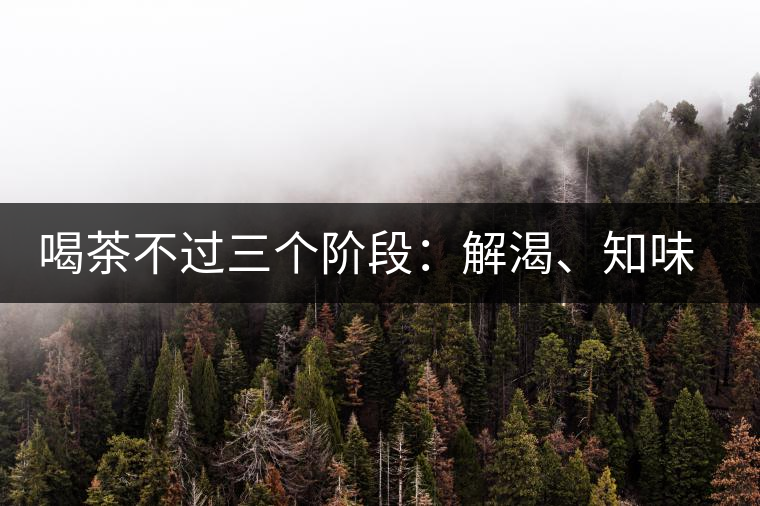 喝茶不過三個(gè)階段：解渴、知味、怡情