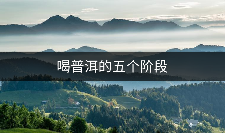 喝普洱的五個(gè)階段 喝普洱的五個(gè)階段