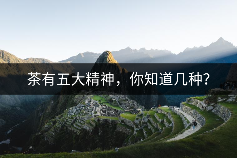 茶有五大精神，你知道幾種？