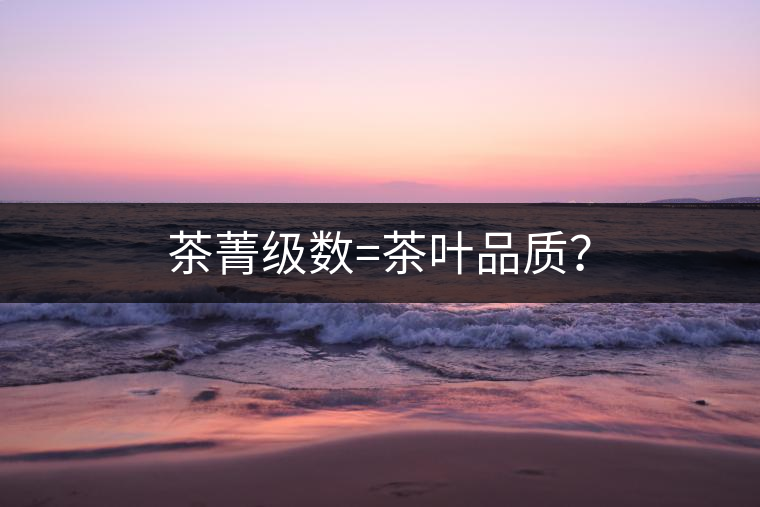 茶菁級(jí)數(shù)=茶葉品質(zhì)？