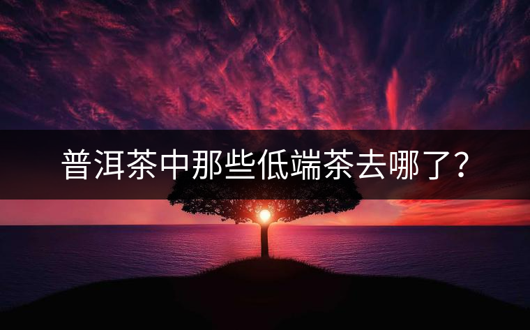 普洱茶中那些低端茶去哪了？